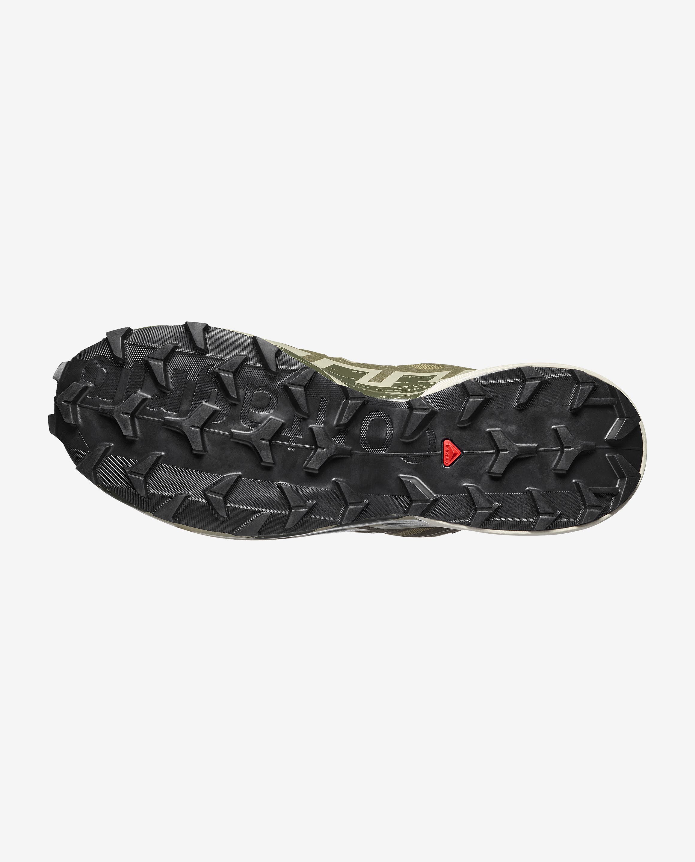 SPEEDCROSS 6 GORE-TEX  Aloe / Aspargus Green / Grape Leaf
