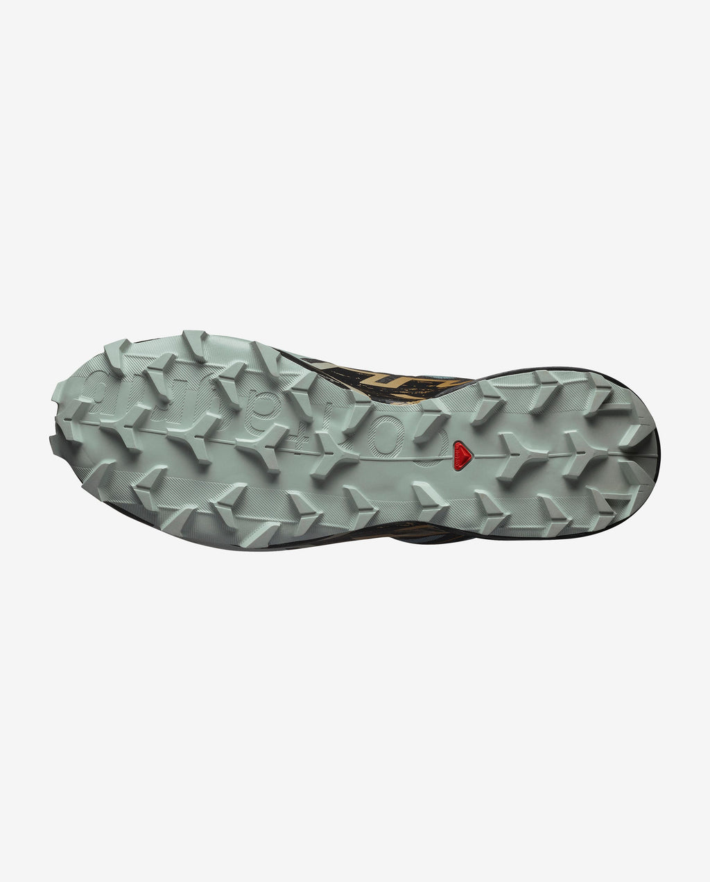 SPEEDCROSS 6 GORE-TEX  Trooper / Black / Wood Thrush