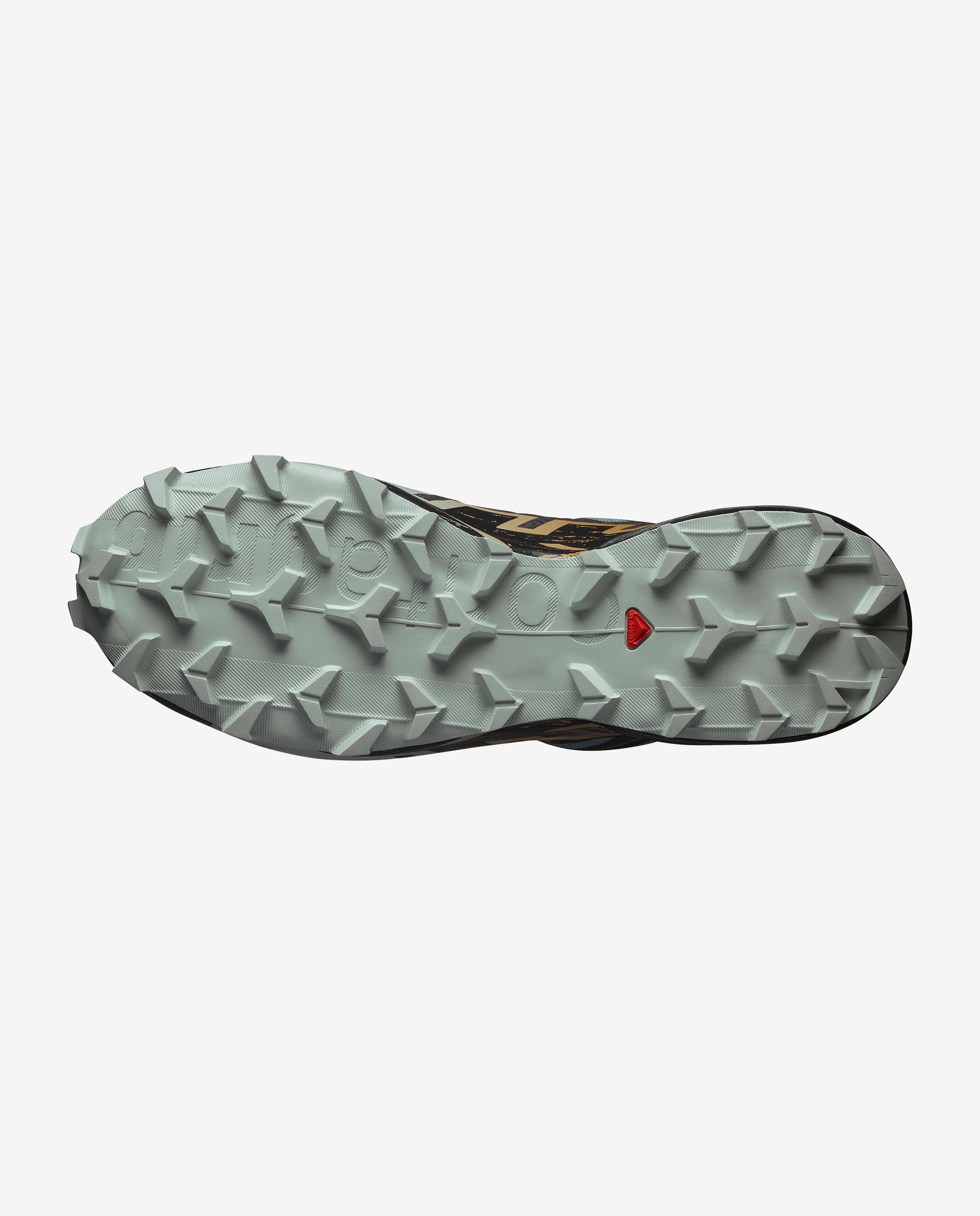 SPEEDCROSS 6 GORE-TEX  Trooper / Black / Wood Thrush
