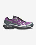 XT-6 GORE-TEX    Concord Grape / Stormy Weather / Ftw Silver