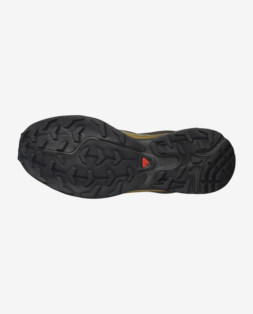 XT-6 GORE-TEX    Delicioso / Tea / Brilliant Olive