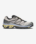 XT-6 GORE-TEX    Silver Cloud / Urban Chic / Shadow Green